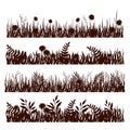 Flowers and grass. Silhouette on a white background. Meadow. Vector set. Royalty Free Stock Photo