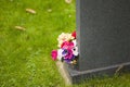 Flowers on grave Royalty Free Stock Photo