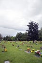 Flowers on Graveside in a cemetary