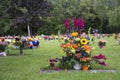 Flowers on Graveside