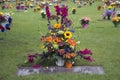 Flowers on Graveside