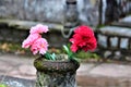 Flowers In A Graveyard Royalty Free Stock Photo