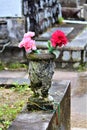 Flowers In A Graveyard Royalty Free Stock Photo