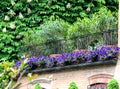 Flowers and greenery of a house