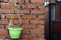 Flowers grow in pots hanging on a brick wall in the garden Royalty Free Stock Photo