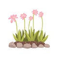 Flowers growing in the flowerbed cartoon vector Illustration