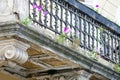 Flowers growing ou of an old baroque balcony