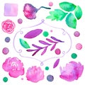Flowers. Hand-drawn set of different flourishes, dots and frame. Real watercolor drawing. Vector illustration.
