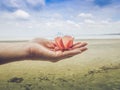 Flowers on hand The sea is blue and the beach is beautiful.