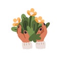 Flowers in hands. Holding floral bunch, fresh bouquet. Cut blooms and leaf. Blossomed field plants and leaves, beautiful