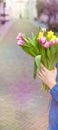 Flowers in the hands of women. spring bouquet of tulips yellow and pink. in a city on the street. Europe. Background or postcard, Royalty Free Stock Photo