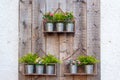 Flowers hanging in metallic pots Royalty Free Stock Photo