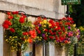 Flowers hanging on a wall.