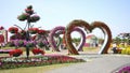 Flowers heart magic garden time lapse near dubai