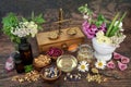 Flowers and Herbs for Aromatherapy Essential Oils Royalty Free Stock Photo