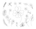 Flowers, herbs and grass in continuous line drawing. Sketchy single leaves, chamomile, dragonfly and butterfly. Outline simple