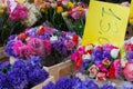 Flowers and Herbs at Italian Flower Market in Bologna, Italy Royalty Free Stock Photo