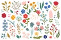 Flowers and herbs mega set graphic elements in flat design. Vector illustration Royalty Free Stock Photo