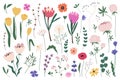 Flowers and herbs mega set graphic elements in flat design. Vector illustration Royalty Free Stock Photo