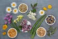 Flowers and Herbs Used in Natural Herbal Medicine Royalty Free Stock Photo
