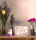 Flowers and home decorations set up with inspirational message 9