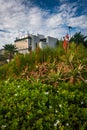 Flowers and house on a cliff, at Crescent Bay Point Park, in Lag Royalty Free Stock Photo