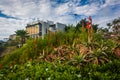 Flowers and house on a cliff, at Crescent Bay Point Park Royalty Free Stock Photo