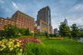 Flowers in Hudson River Park and buildings in Tribeca, in Manhattan, New York City Royalty Free Stock Photo