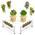 Flowers icon. Design elements for the cafe. Isometric vector flowers elements for landscape design. Flowers background