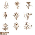 Flowers icons