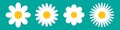 Flowers icons set. Vector illustration Royalty Free Stock Photo