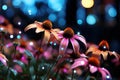 Flowers illuminated in starry night, outdoor session images