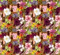 Flowers,indian ornament. Watercolor seamless pattern