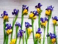 Flowers irises, crocuses light wooden background as backing, many colors, all the space occupied by flowers. Selective focus. Plac