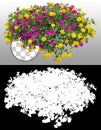 Petunias. Cut out colorful flowers