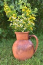 Flowers in a jug Royalty Free Stock Photo