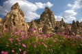 Flowers in Kapadokya