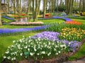 Keukenhof garden Royalty Free Stock Photo