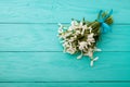 Flowers and lace ribbon on blue wooden background Royalty Free Stock Photo