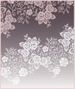 Flowers, lace Roses Card. Royalty Free Stock Photo