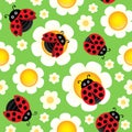 Flowers and ladybugs seamless background Royalty Free Stock Photo