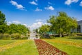 Flowers at the lake of the Gruga park in Essen Royalty Free Stock Photo