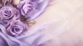 Flowers, lavander, rose beautiful Natural floral background feminine banner Sunny summer with sunlight and bokeh