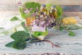 Flowers, leaves and roots of sage, soap, oils and tinctures, on a wooden background, natural ingredients Royalty Free Stock Photo