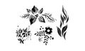 Flowers and leaves set, floral design elements vector Illustration on a white background Royalty Free Stock Photo