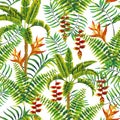 Flowers leaves tropical jungle seamless pattern white background Royalty Free Stock Photo