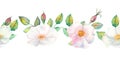 The flowers and leaves of wild rose. Repetition of summer horizontal border. Floral watercolor illustration. Compositions for