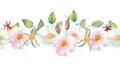 The flowers and leaves of wild rose. Repetition of summer horizontal border. Floral watercolor illustration. Compositions for