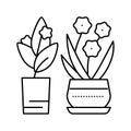 flowers leisure line icon vector illustration Royalty Free Stock Photo