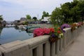 Flowers on Leland Bridge   808952 Royalty Free Stock Photo